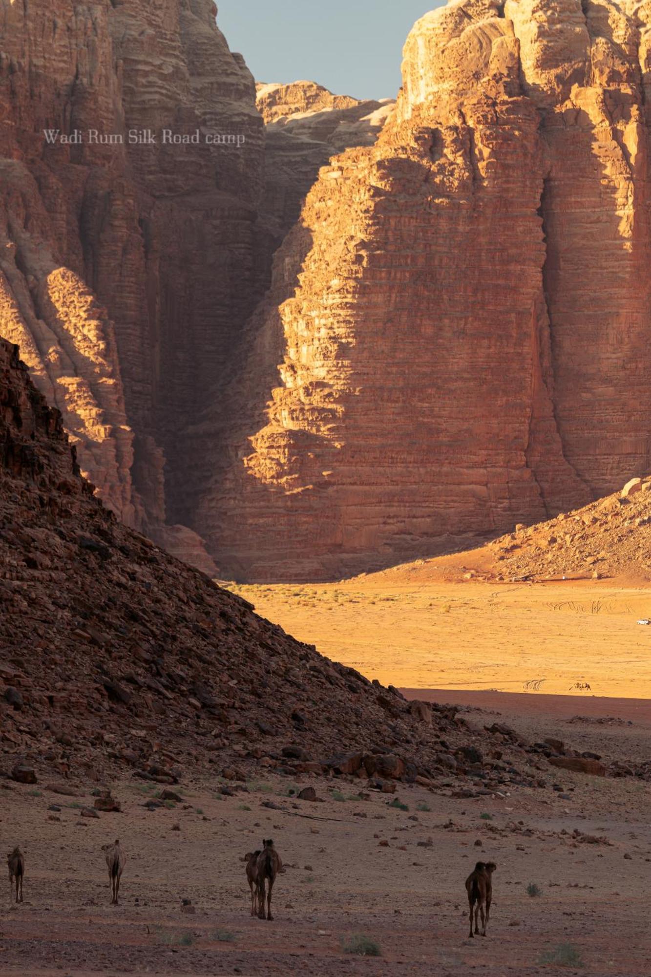 Wadi Rum Silk Road Camp Kültér fotó