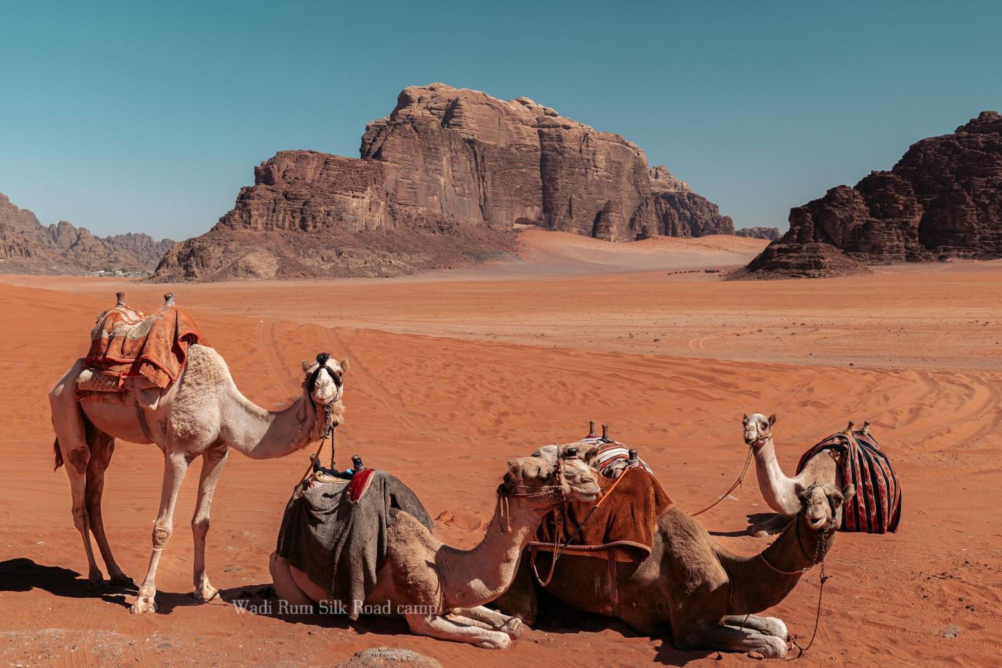 Wadi Rum Silk Road Camp Kültér fotó