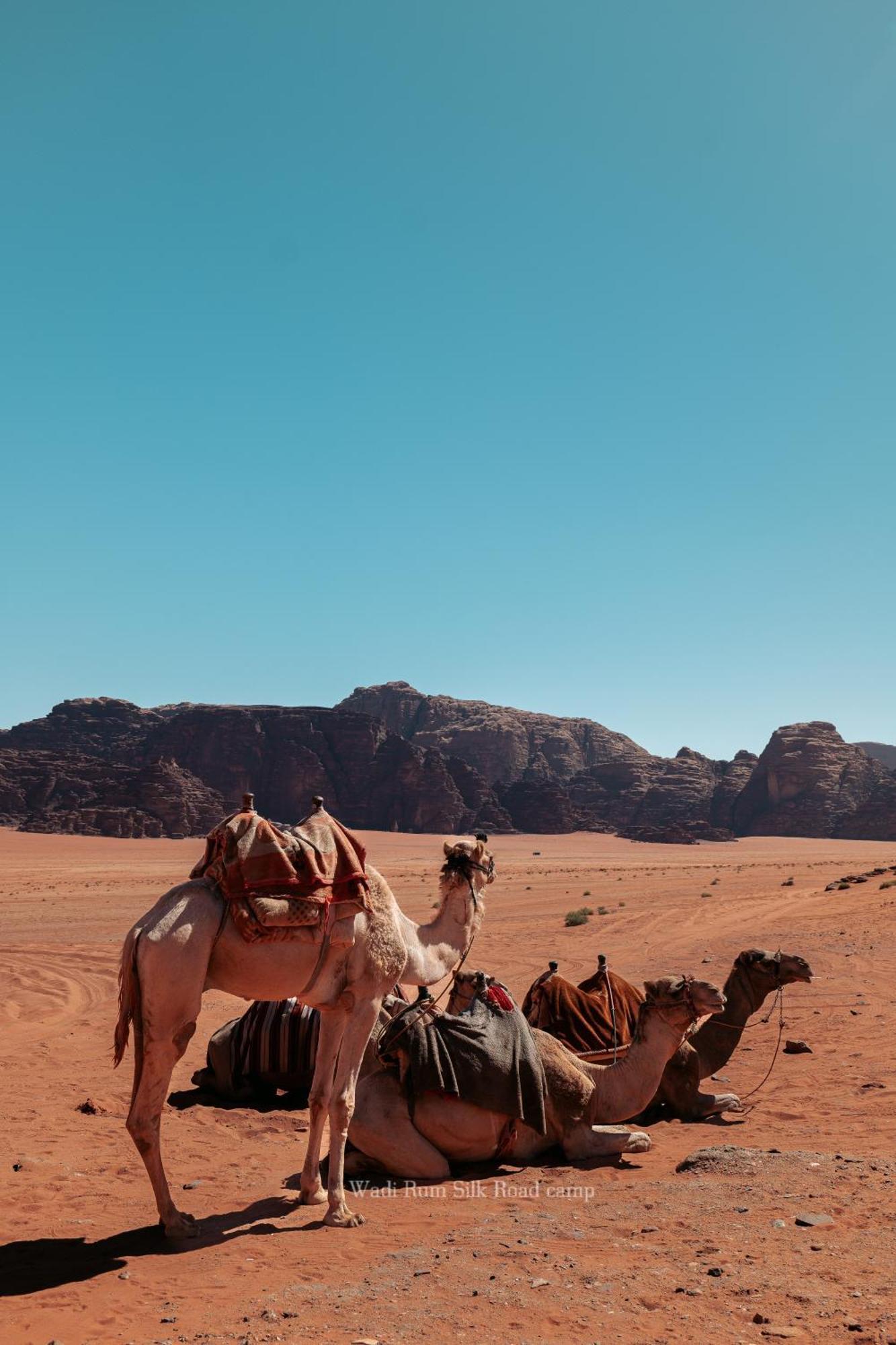 Wadi Rum Silk Road Camp Kültér fotó